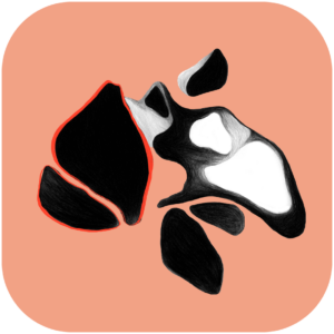 LAB web18