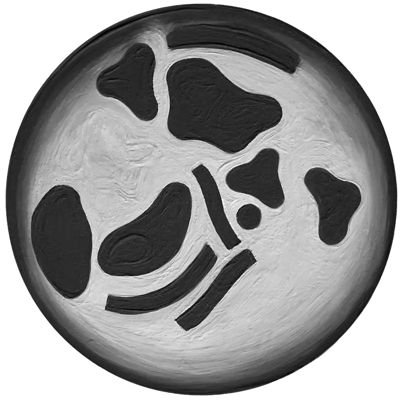 Lab-01-Pamela-Annecke