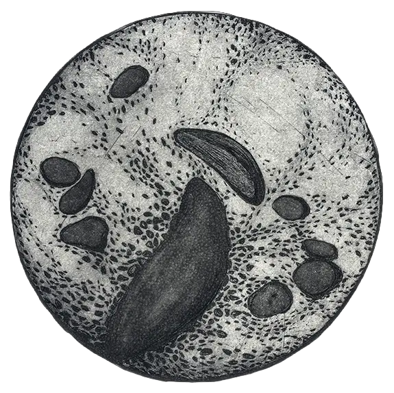 Lab-06-Pamela-Annecke