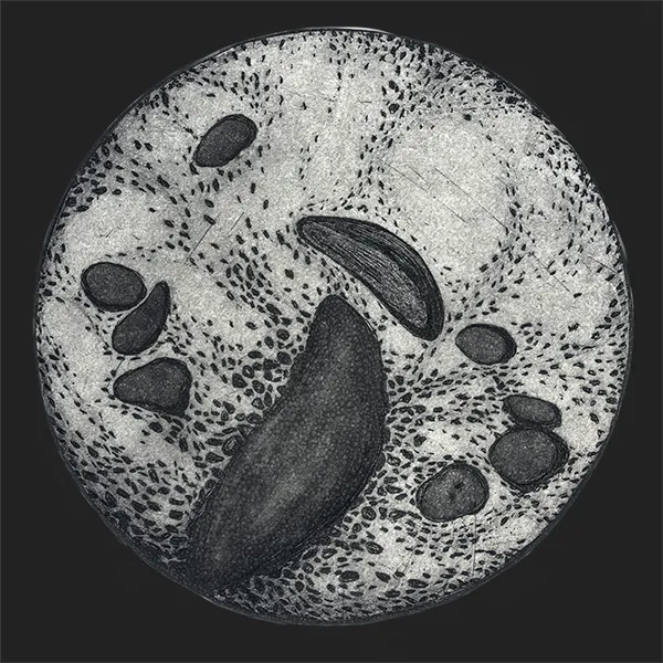 Lab-06-Pamela-Annecke