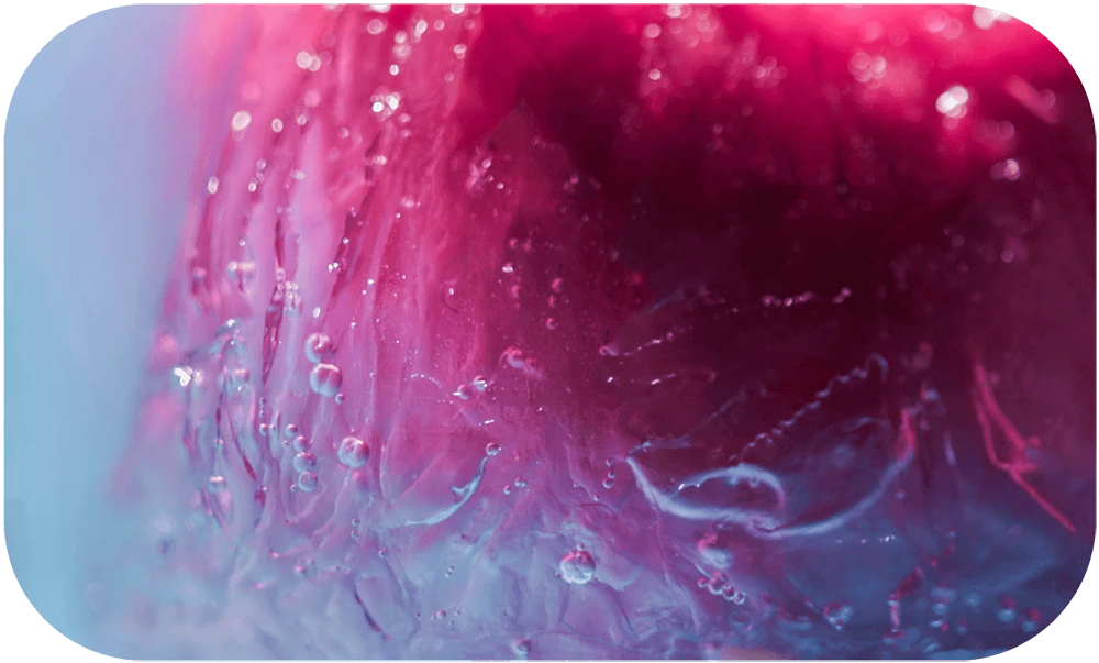 STILL-LOVE-Pamela_Annecke_13