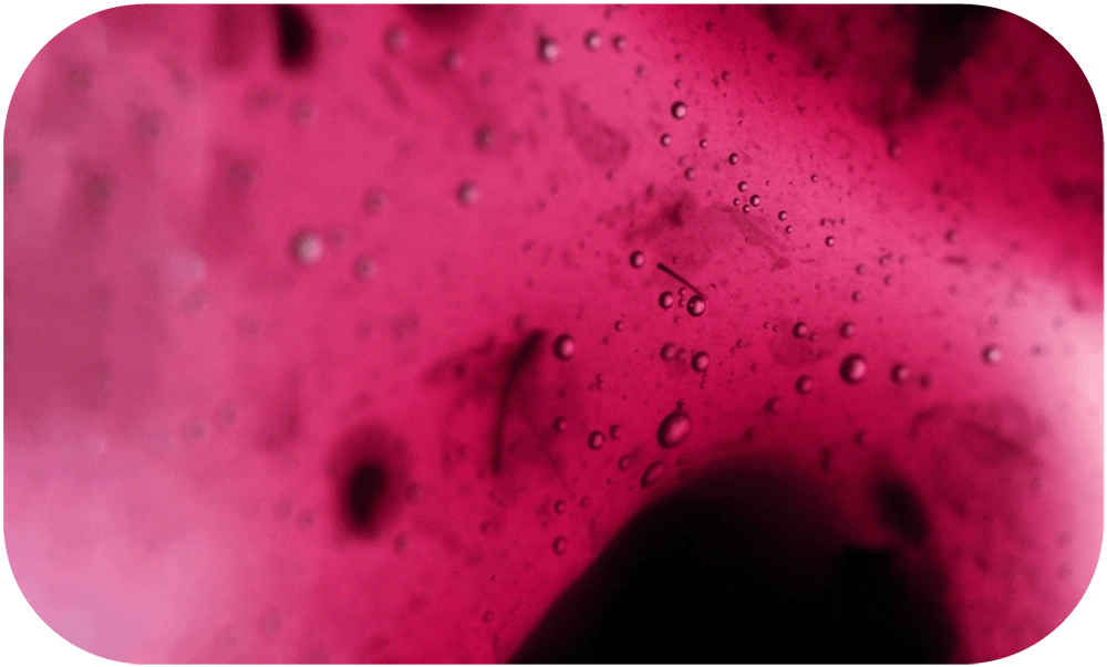 STILL-LOVE-Pamela_Annecke_15