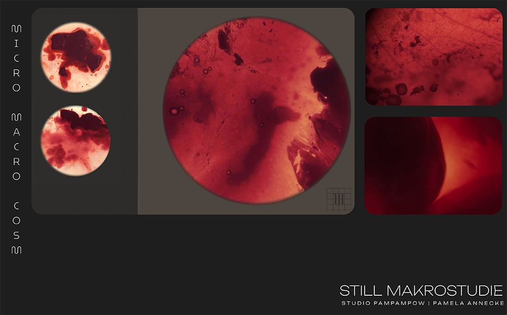 pamela-annecke_makro_10