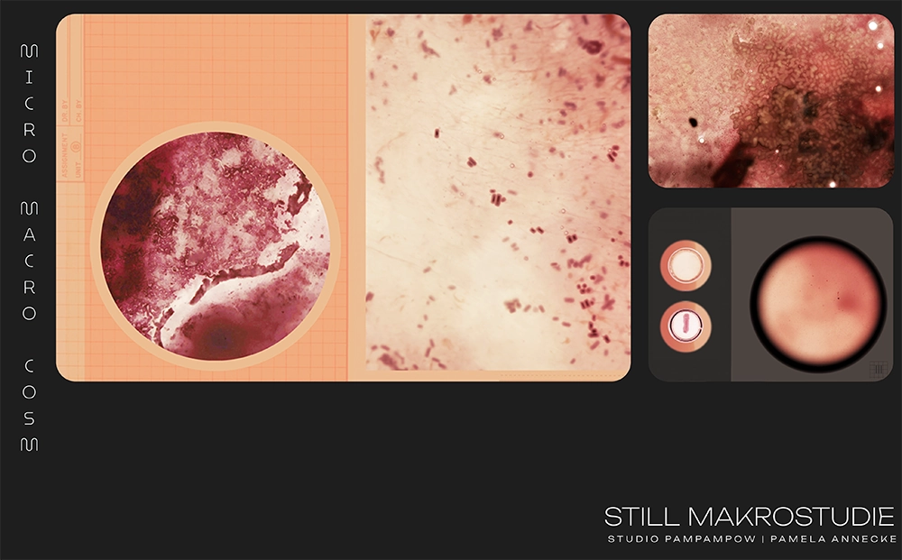 pamela-annecke_makro_4