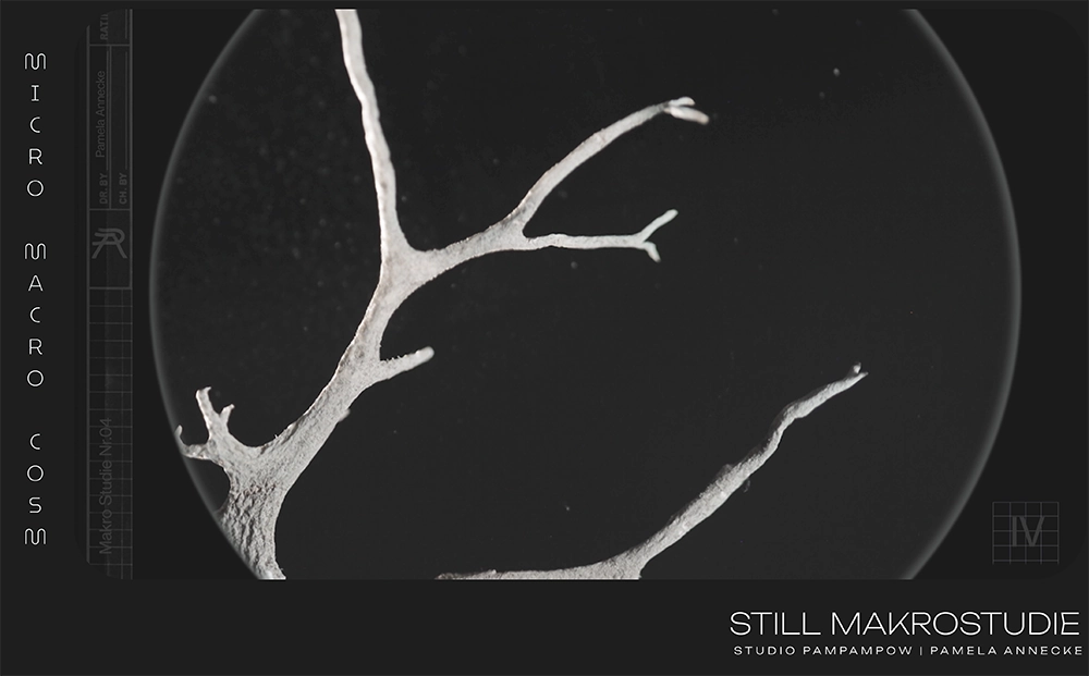 pamela-annecke_makro_5