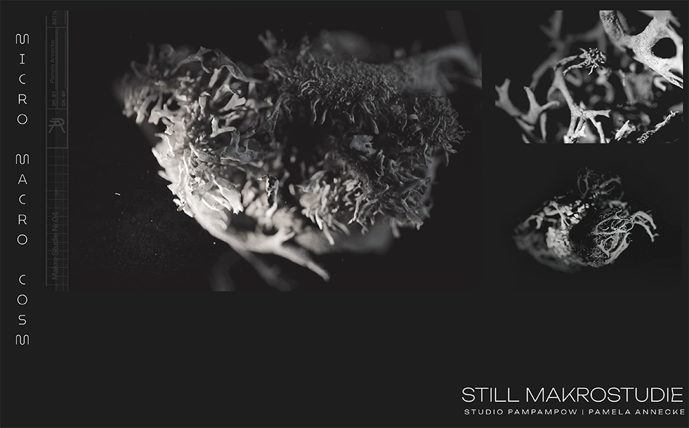pamela-annecke_makro_6