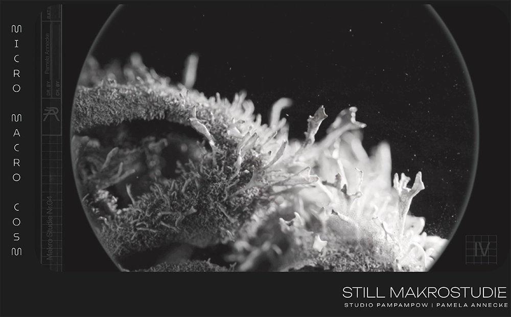 pamela-annecke_makro_7
