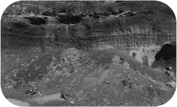 pamela-annecke_undated-pages_03