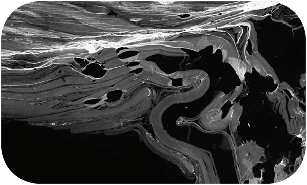 pamela-annecke_undated-pages_08